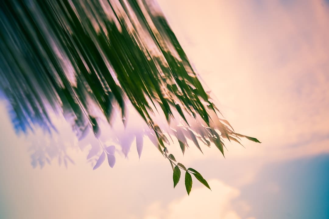 物流运转稳中有进，物流总额坚持增加——透视前7个月我国物流开展